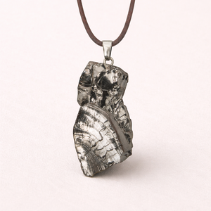 Elite Shungite Hanger