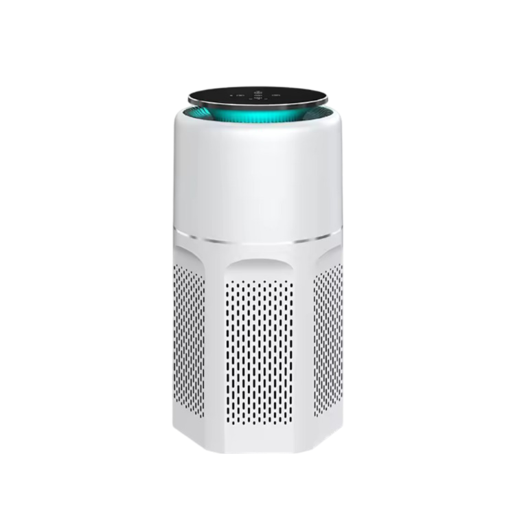 Large Plasma Air Purifier